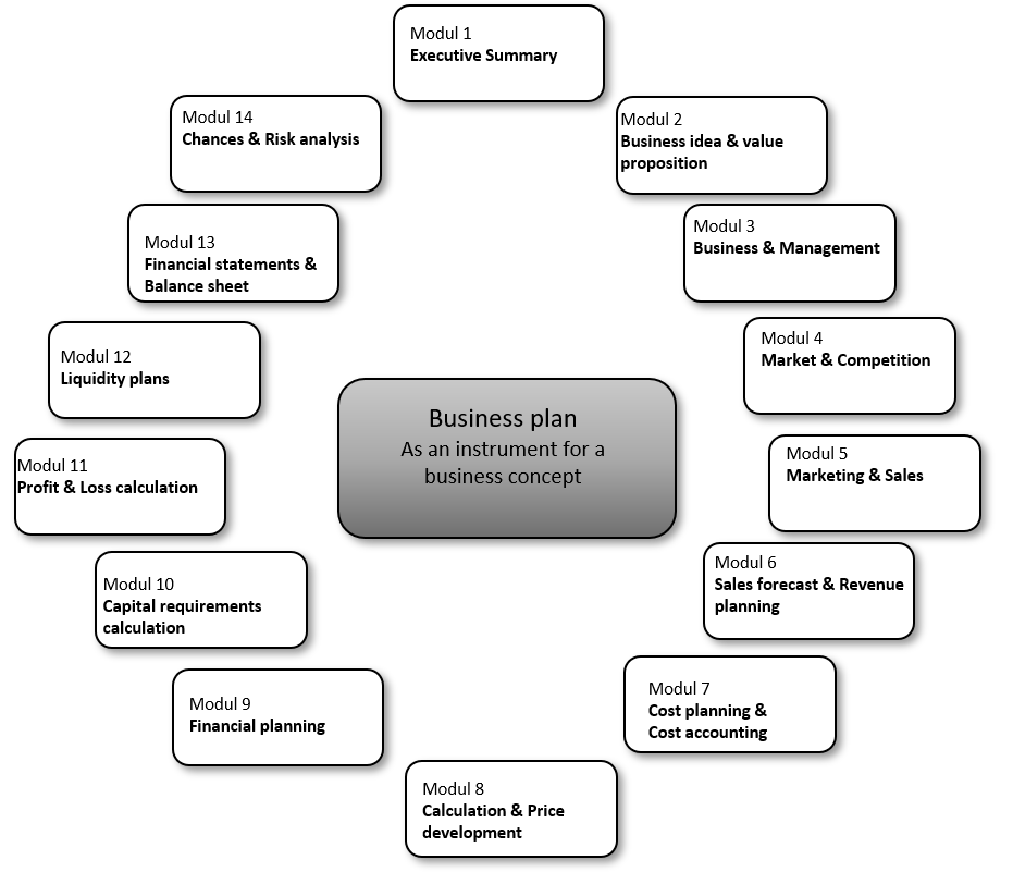 development of business plan module
